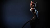Fantasy_Furry_96227_1920x1080.jpg