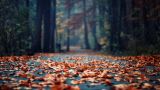 Nature__039116_.jpg